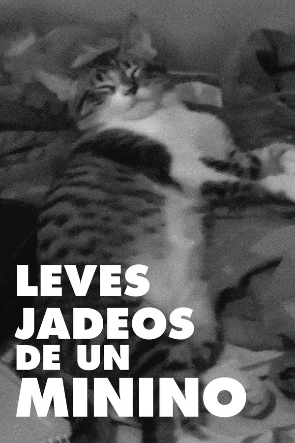 Slight panting of a pussycat