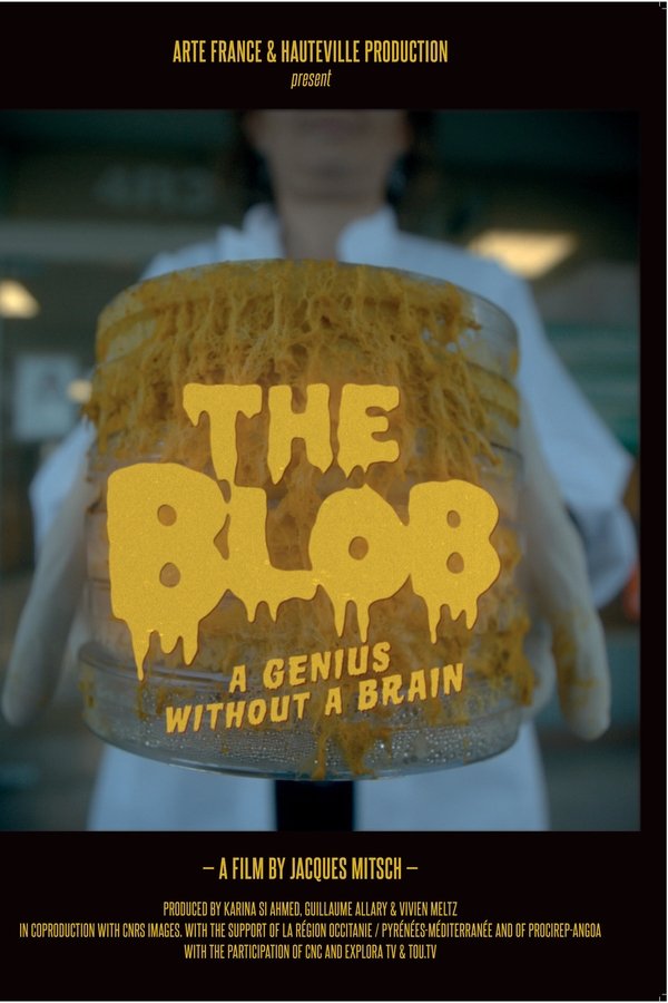 The Blob: A Genius without a Brain