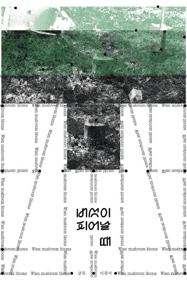 버섯이 피어날 때