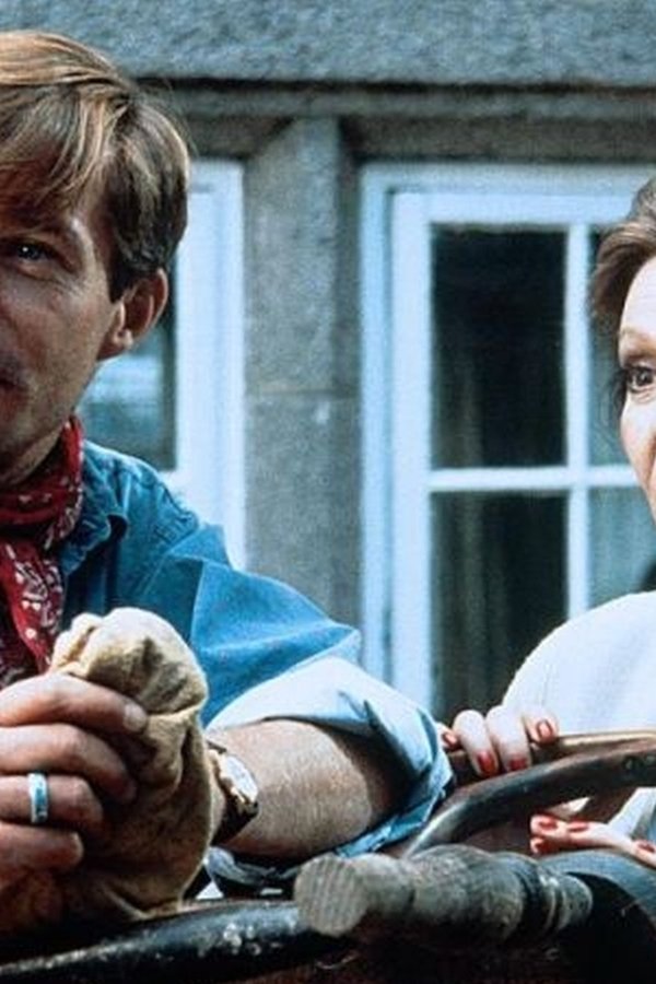 Rosamunde Pilcher: Stürmische Begegnung poster