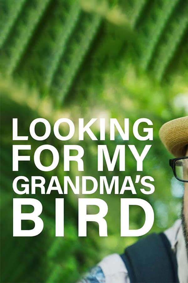 Looking For My Grandma’s Bird