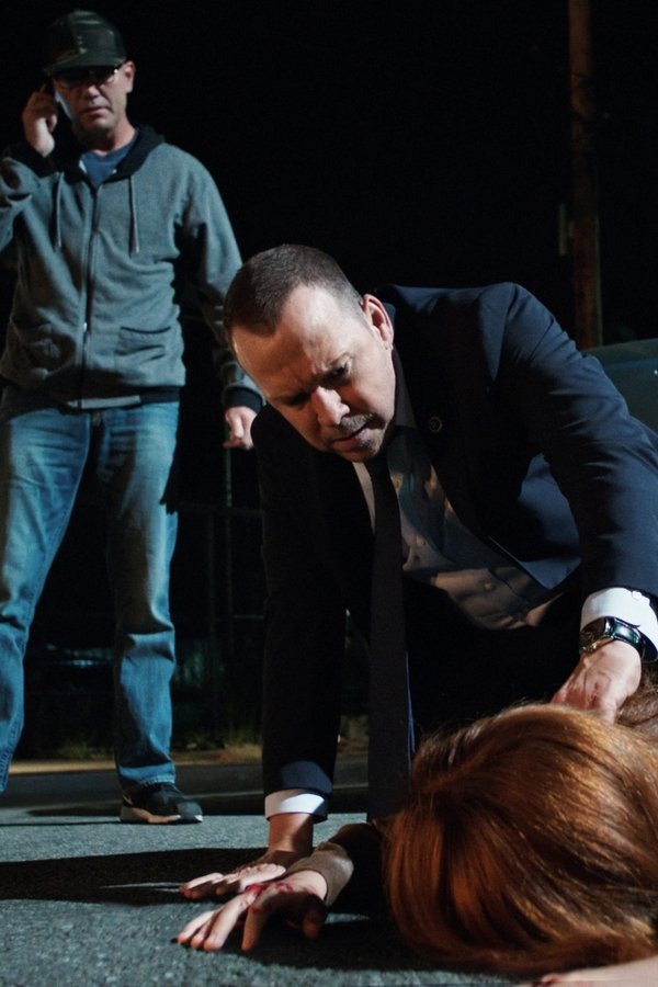 Blue Bloods – S07E06 – Difesa ad oltranza