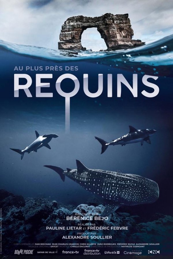 For the Love of Sharks poster