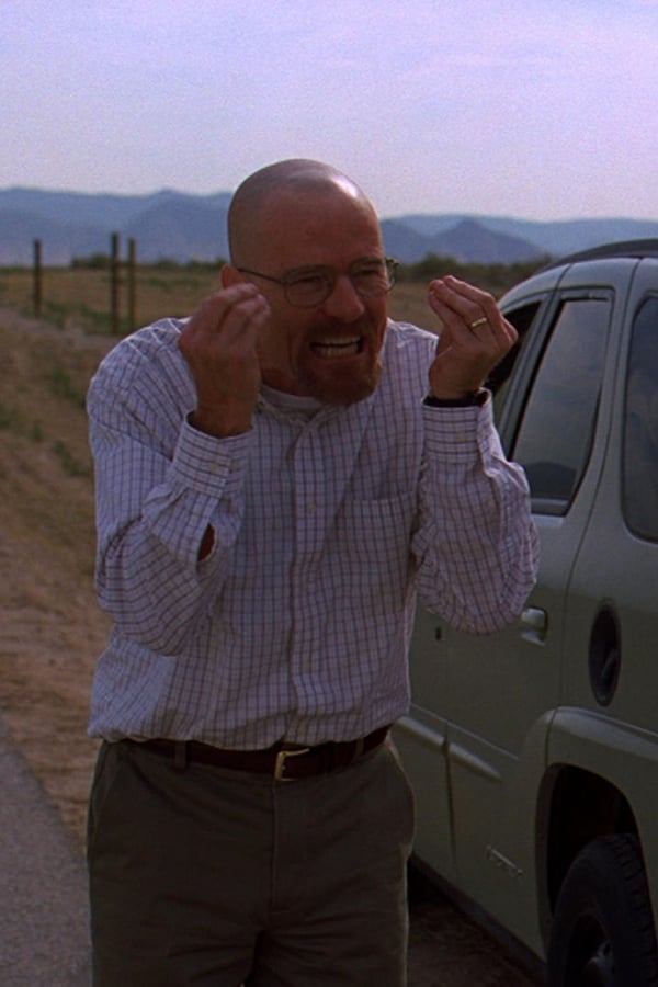 Breaking Bad – Reazioni collaterali – S03E02 – Cavallo senza nome