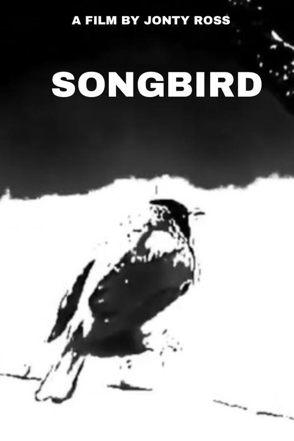 Songbird
