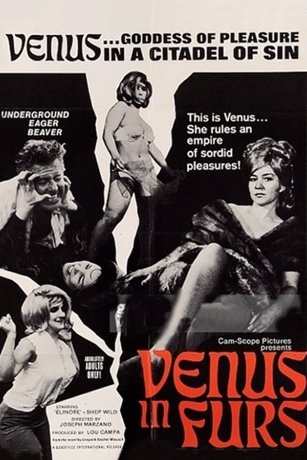 Venus in Furs