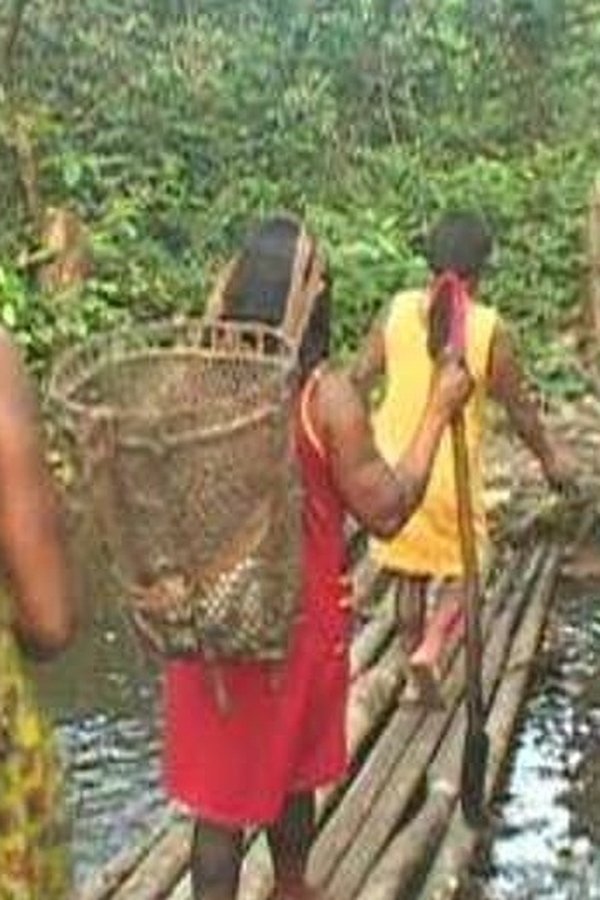 Kiarãsâ yõ Sâti – The Agouti’s Peanut