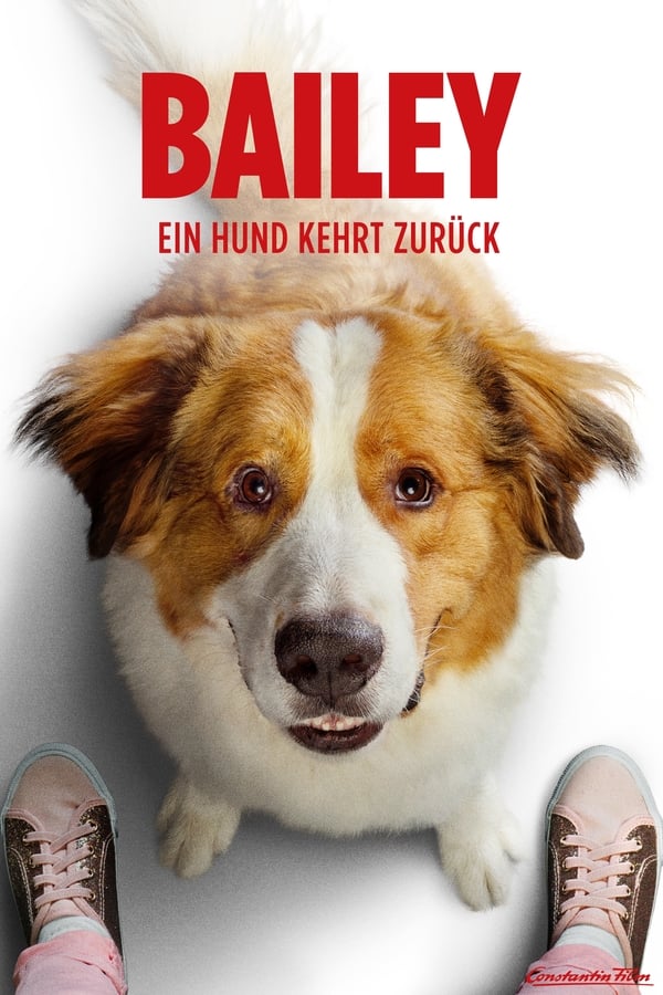 DE - Bailey - Ein Hund kehrt zurück (2019)