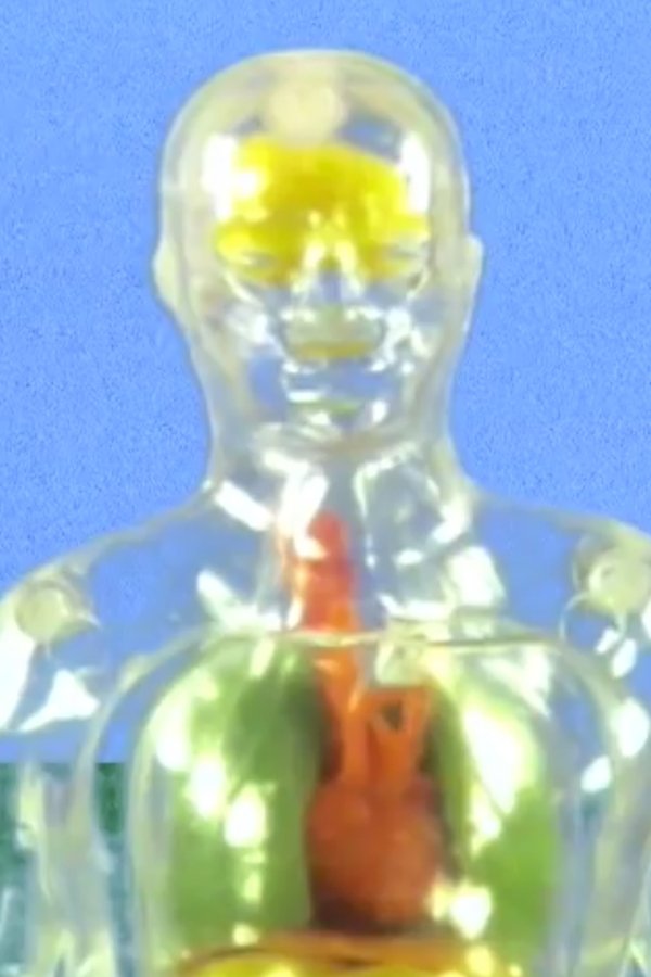 Simulated Cock Fun & Virtual Balls