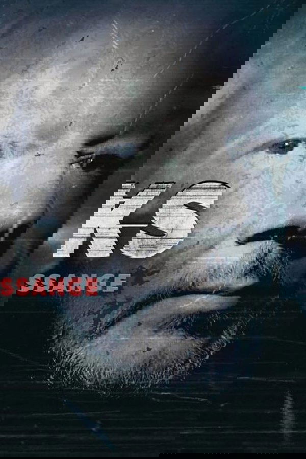 Wikileaks – USA against Julian Assange poster