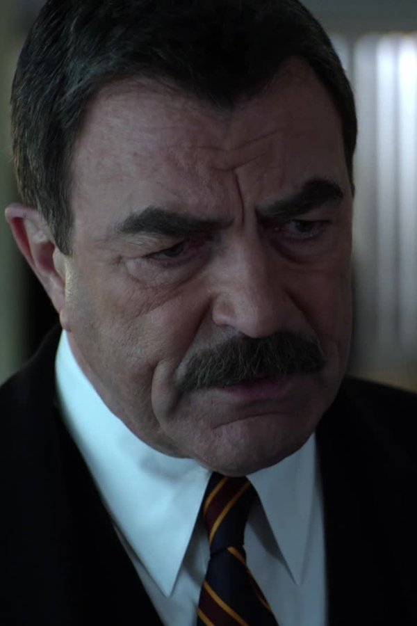 Blue Bloods – S04E21 – Oltre il limite