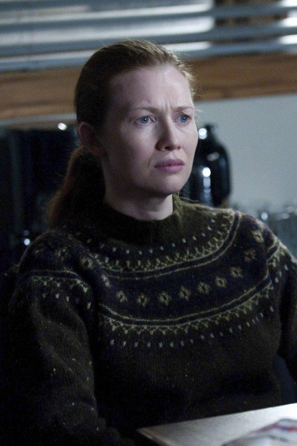 The Killing – S02E13 – Episodio 13