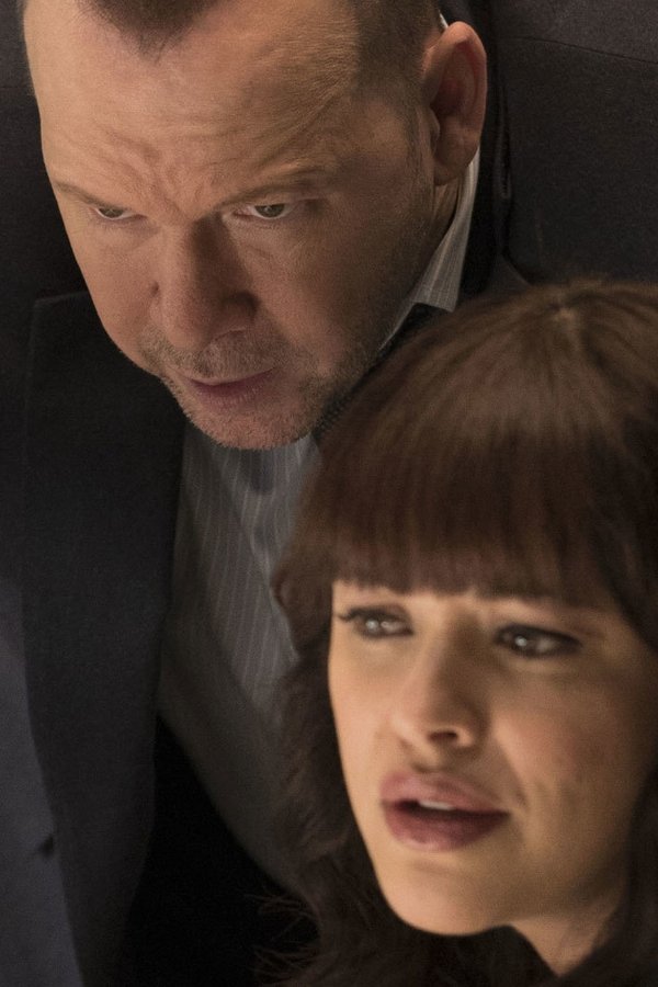 Blue Bloods – S06E22 – Il contraccolpo