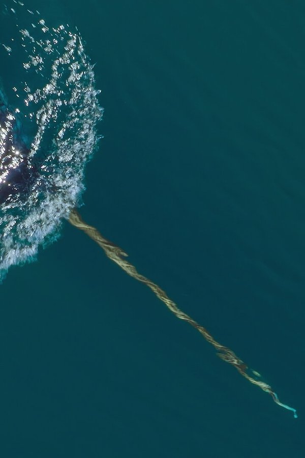 Oceani del mondo – S01E04 – Oceano Artico