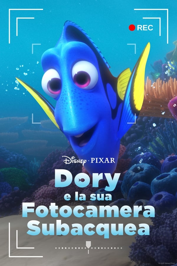 Dory’s Reef Cam