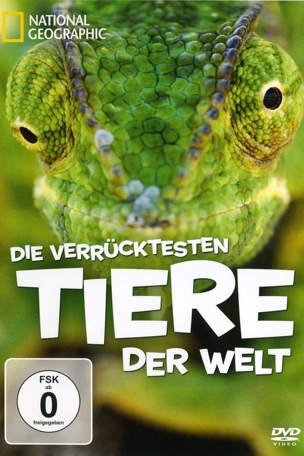 National Geographic - Die verrücktesten Tiere der Welt poster