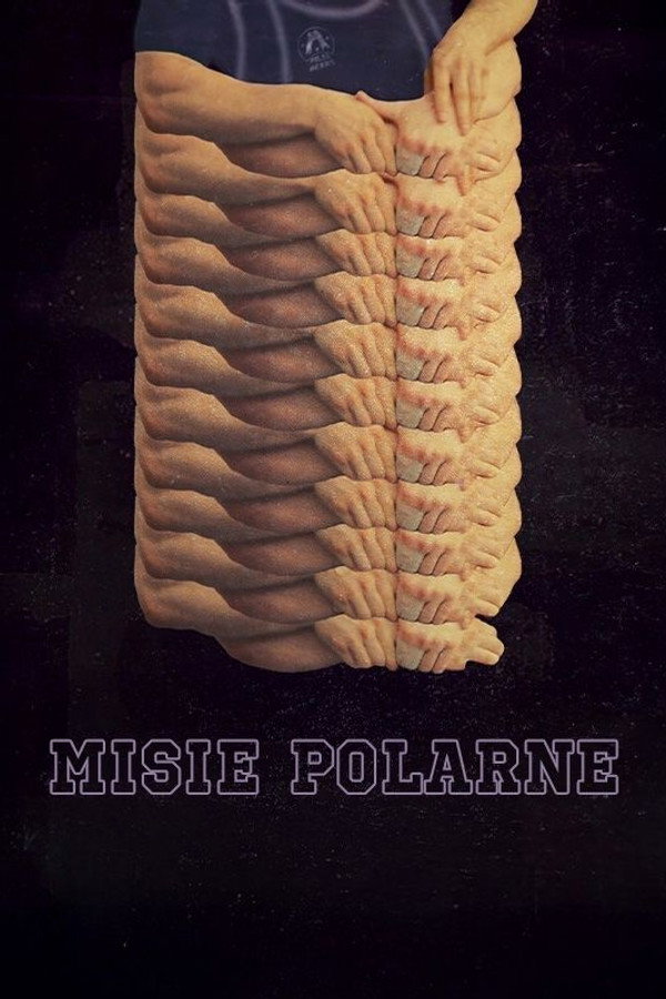 Misie polarne