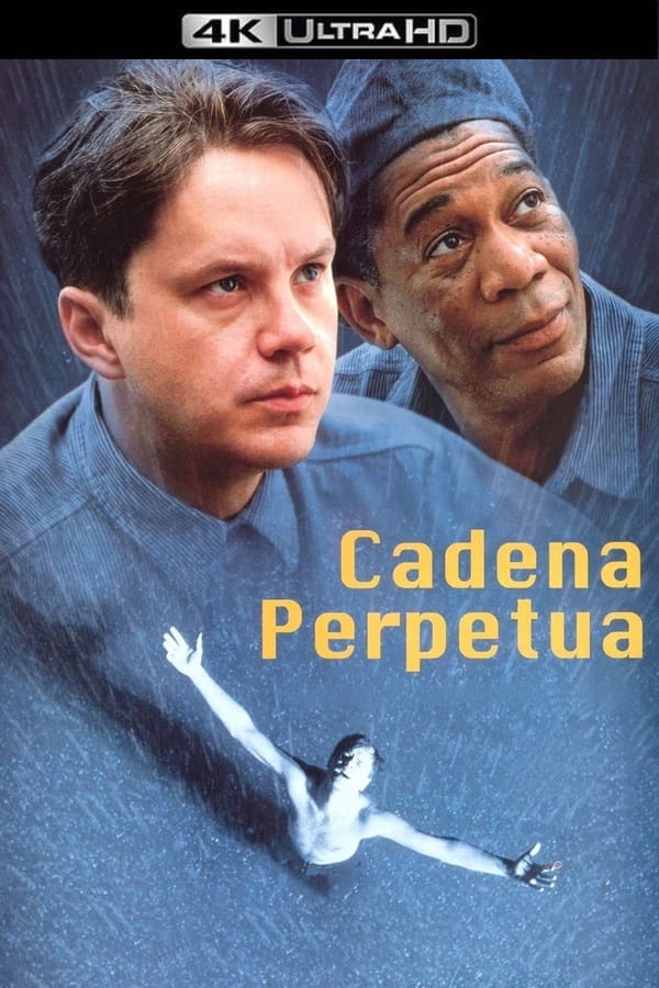 Acusado del asesinato de su mujer, Andrew Dufresne, tras ser condenado a cadena perpetua, es enviado a la prisión de Shawshank. Con el paso de los años conseguirá ganarse la confianza del director del centro y el respeto de sus compañeros presidiarios, especialmente de Red, el jefe de la mafia de los sobornos.