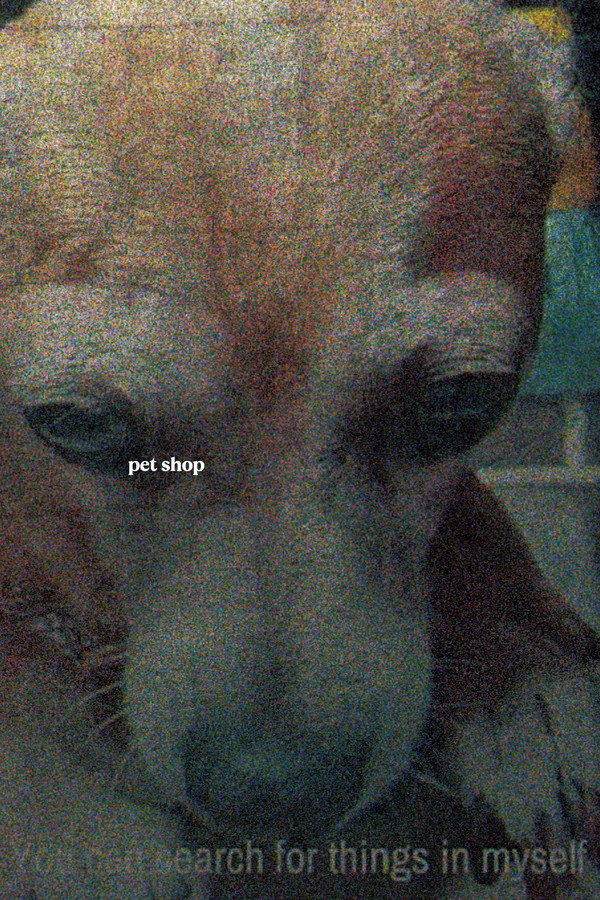 Pet Shop