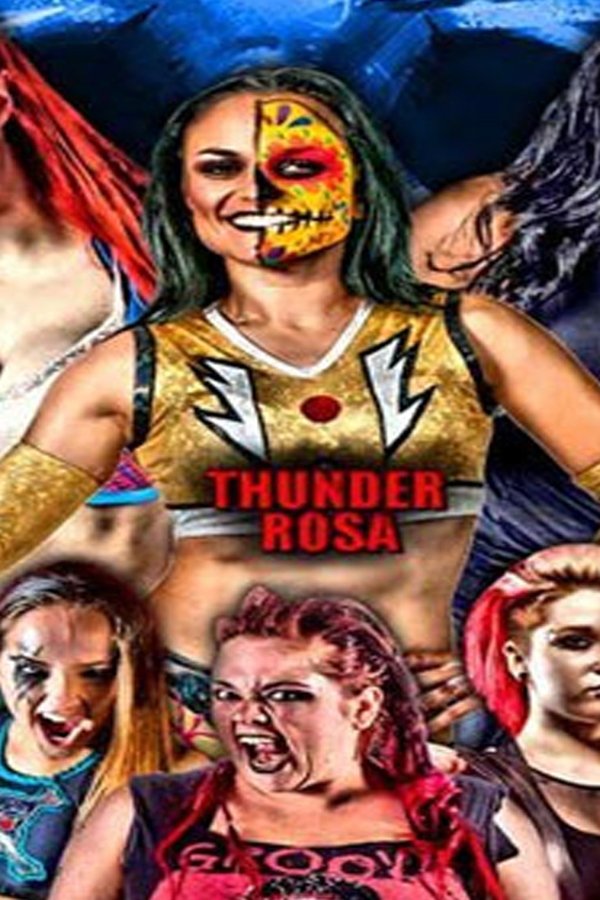 Girl Fight Wrestling 11 poster