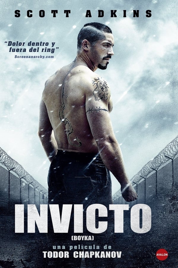 TVplus ES - Boyka: Invicto IV  (2016)