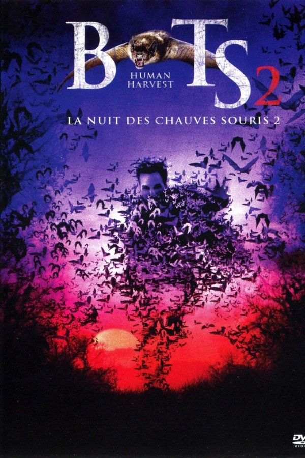 BATS 2, La nuit des chauves-souris 2
