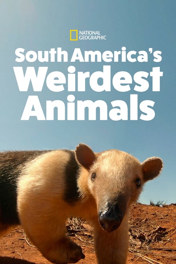 TVplus D+ - South America's Weirdest Animals