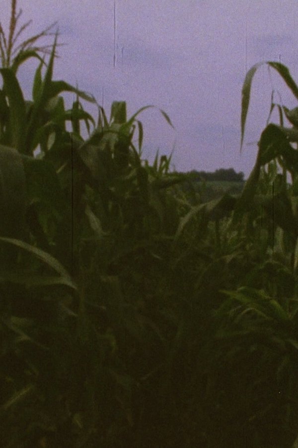 Pan 3 poster