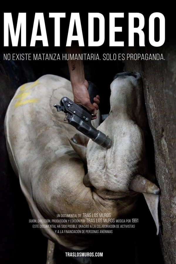 Matadero poster