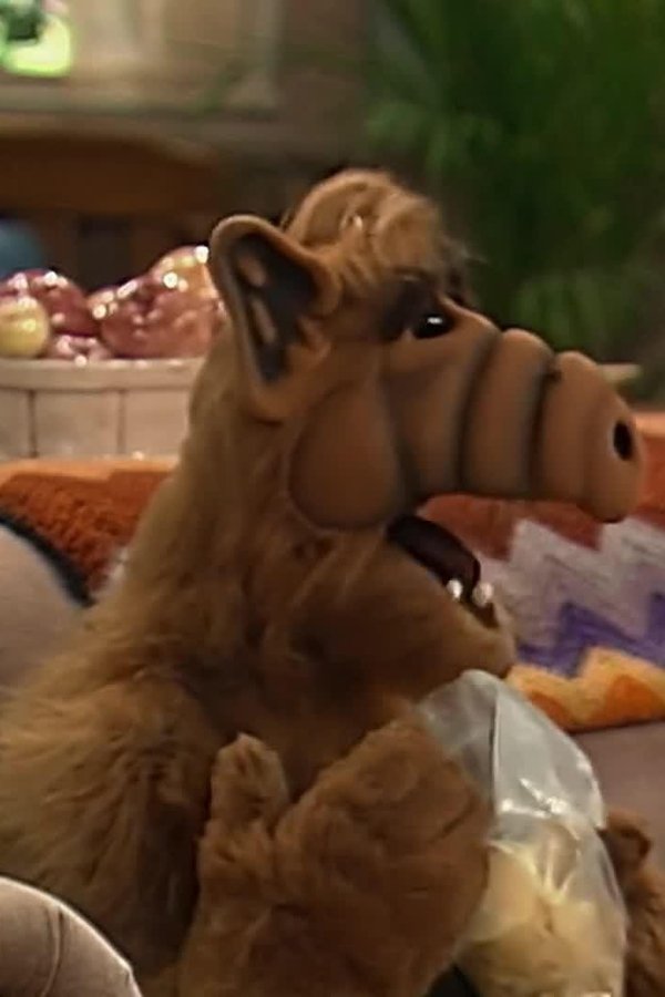 ALF – S01E21 – La finestra sul cortile