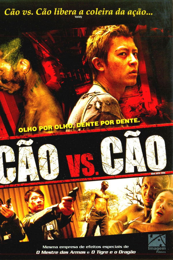 Cão vs Cão