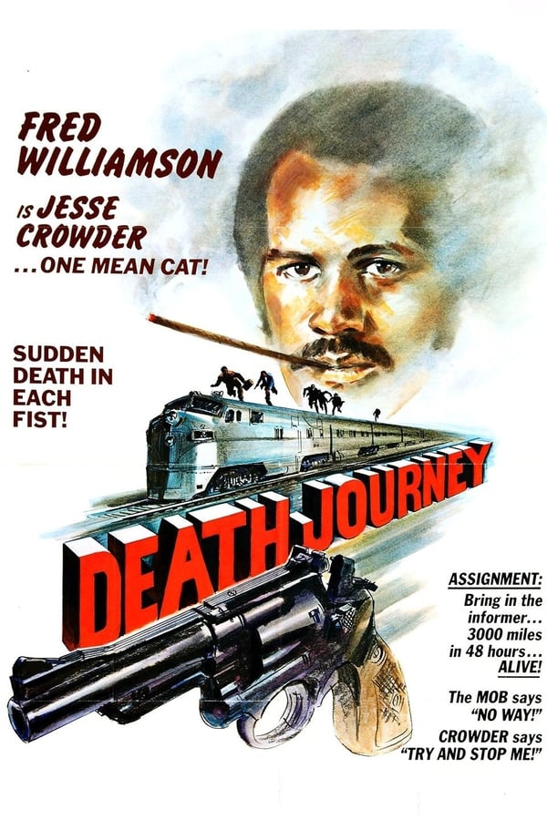 Fearful that their star witness might be murdered, two attorneys hire a protector to bring him from Los Angeles to New York. Jesse Crowder (Fred Williamson) is a no-nonsense tough guy. He buddies up with the witness, an accountant, and they hit the road. Outwitting their foes means taking all manner of conveyance, including automobile, train, and airplane.