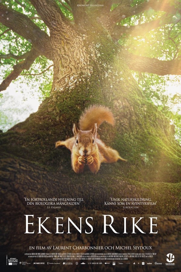 Le chêne (2022)