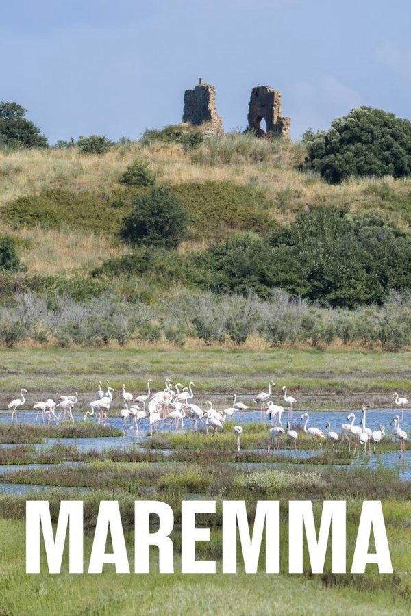 Maremma – Italiens wilde Schönheit