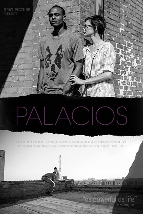 Palacios (2017)