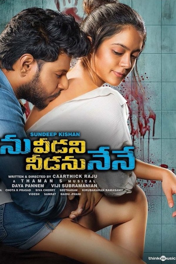 నిను వీడని నీడను నేనే