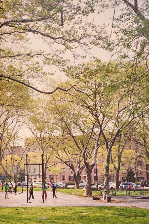 The Park
