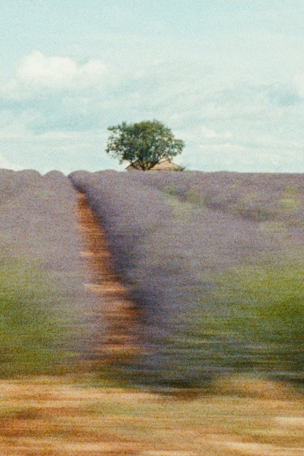 La Mounine ou note après coup sur un ciel de Provence