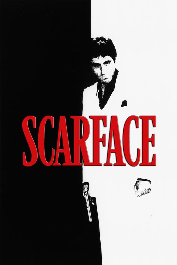 After getting a green card in exchange for assassinating a Cuban government official, Tony Montana stakes a claim on the drug trade in Miami. Viciously murdering anyone who stands in his way, Tony eventually becomes the biggest drug lord in the state, controlling nearly all the cocaine that comes through Miami. But increased pressure from the police, wars with Colombian drug cartels and his own drug-fueled paranoia serve to fuel the flames of his eventual downfall.