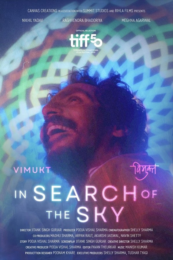 In Search of The Sky Poster