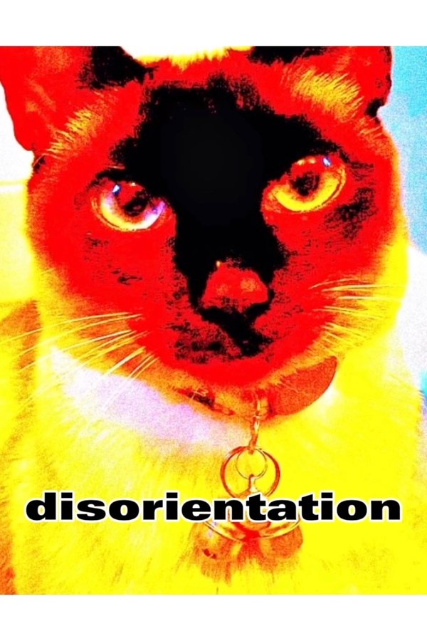 disorientation poster