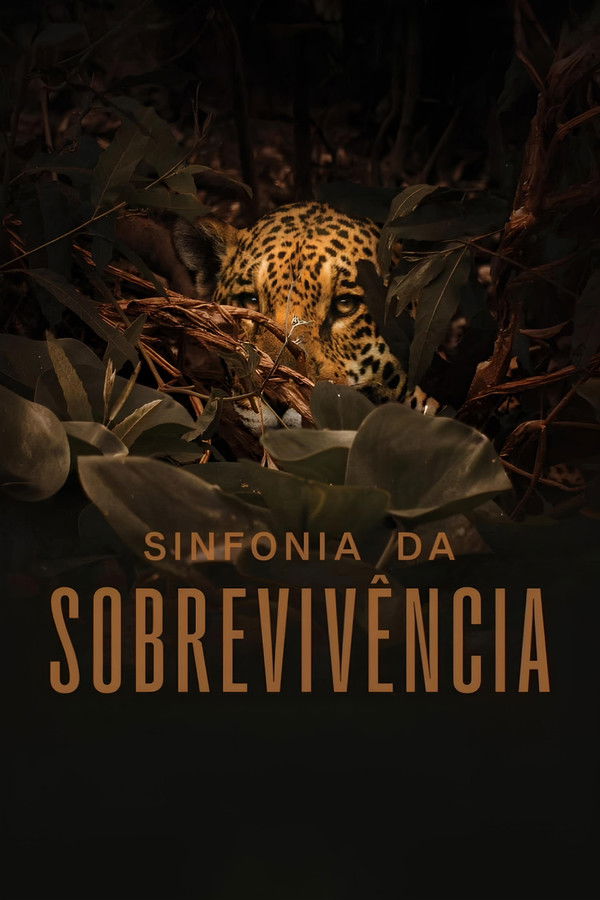 Sinfonia da Sobrevivência
