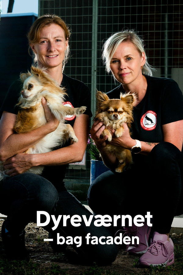 Dyreværnet – bag facaden
