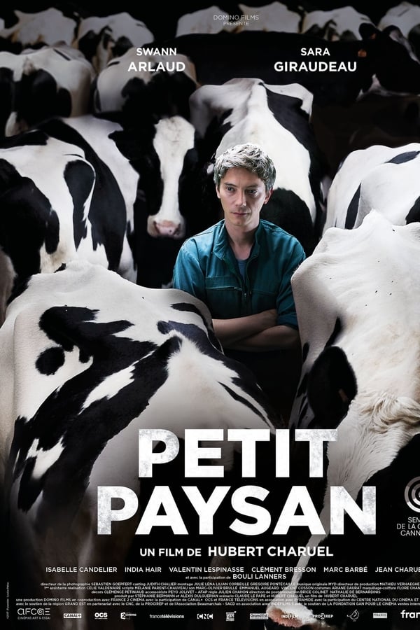 TVplus FR - Petit Paysan  (2017)