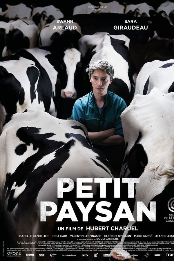 Pierre, la trentaine, est éleveur de vaches laitières. Sa vie s’organise autour de sa ferme, sa sœur vétérinaire et ses parents dont il a repris l’exploitation. Alors que les premiers cas d’une épidémie se déclarent en France, Pierre découvre que l’une de ses bêtes est infectée. Il ne peut se résoudre à perdre ses vaches. Il n’a rien d’autre et ira jusqu’au bout pour les sauver.