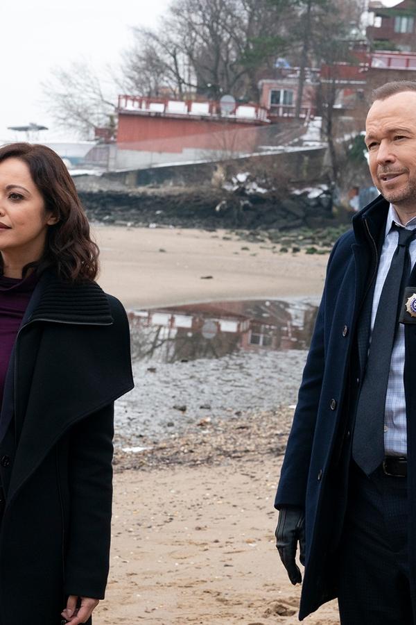 Blue Bloods – S11E08 – Quelo che gli occhi non vedono