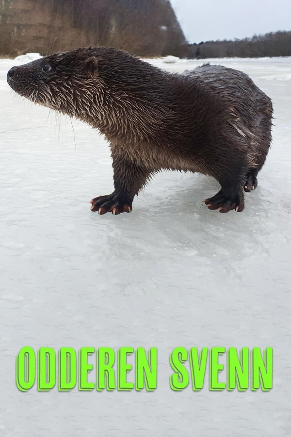 Oteren Svenn poster