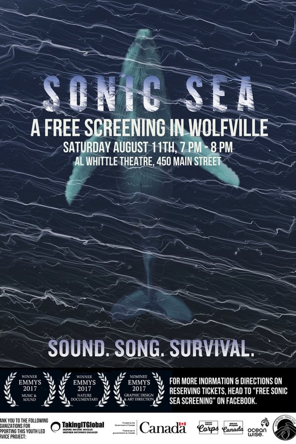 Sonic Sea