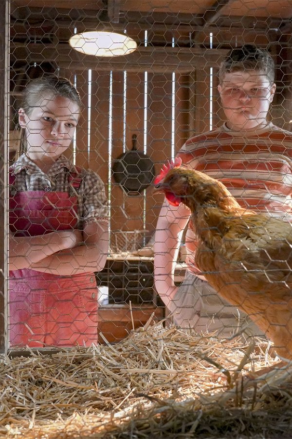Young Sheldon – S03E11 – Un pollo vivo, un pollo fritto e il Santo Matrimonio