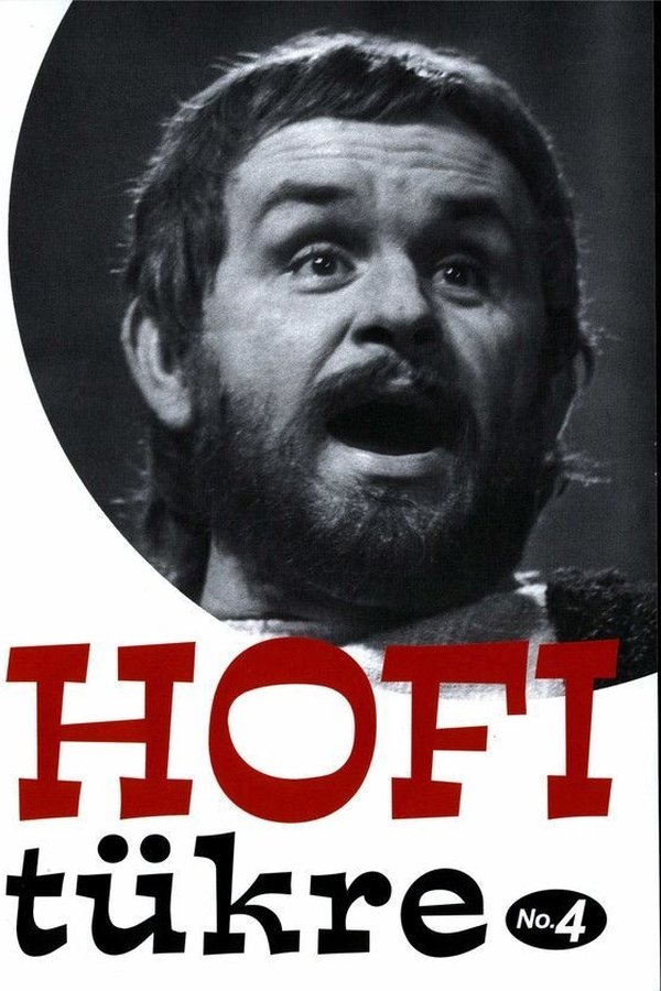 Hofi tükre No.4 poster
